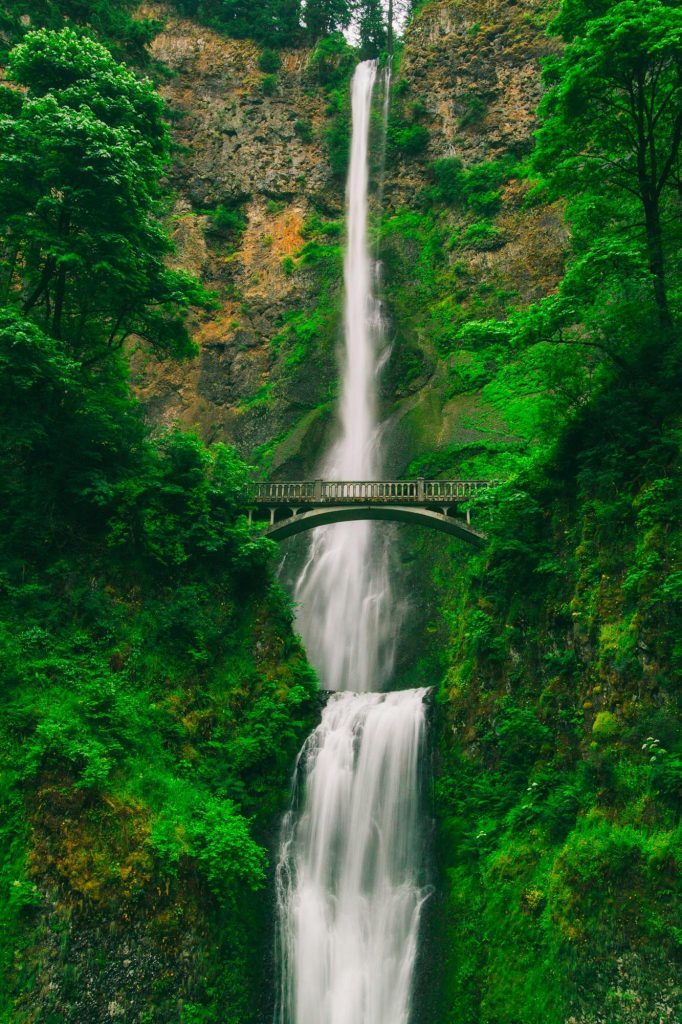 Captivating waterfall cascading through lush greenery and a scenic bridge.